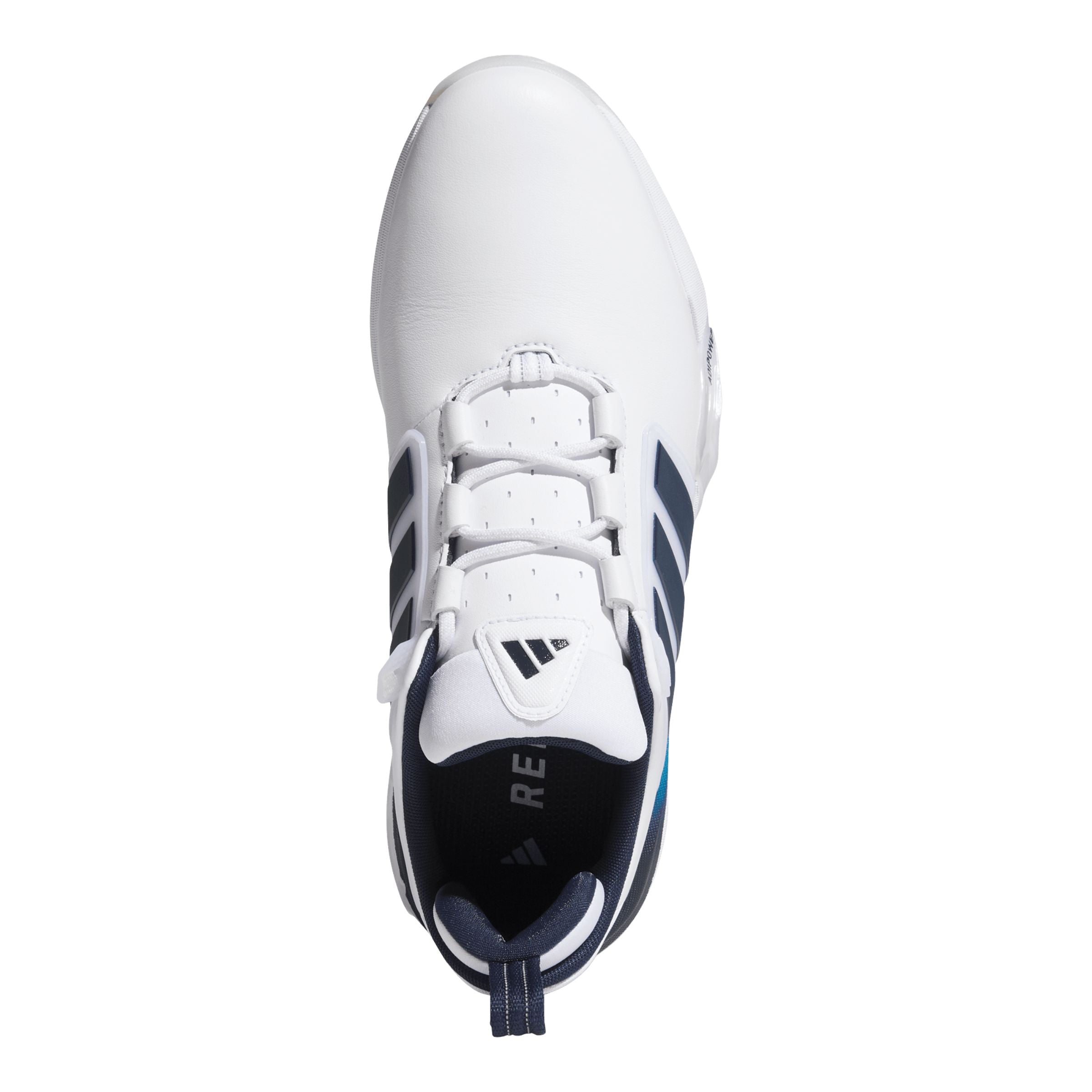 Adidas Adipower 26 SL Blanche / Bleu